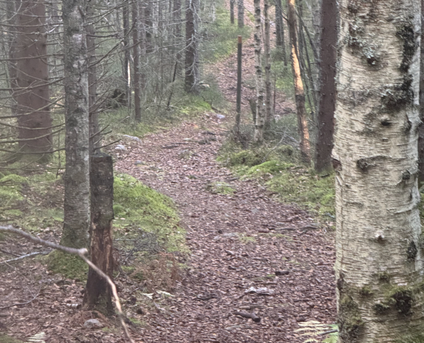 Nieuwe paden ontdekken